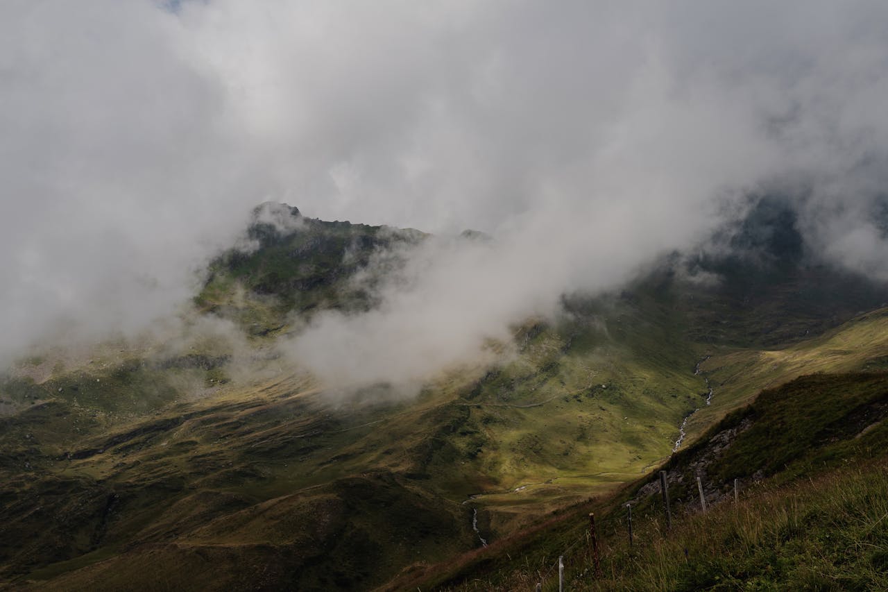 Kernavolestia hero image